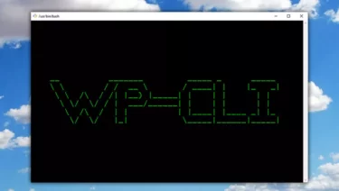 WP-CLI: WordPress Prozessoptimierung für Agenturen