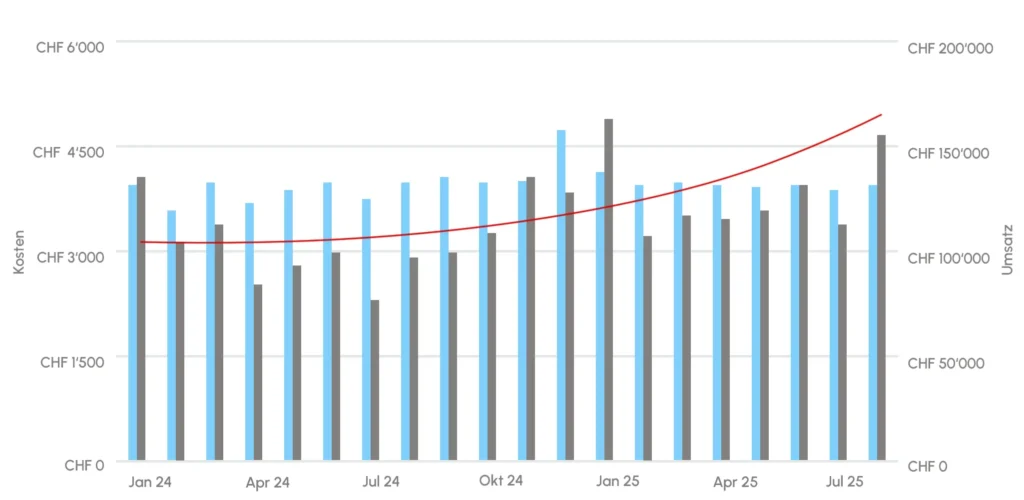 Erfolgsstory: Webseite im Bereich E-Commerce (B2C)